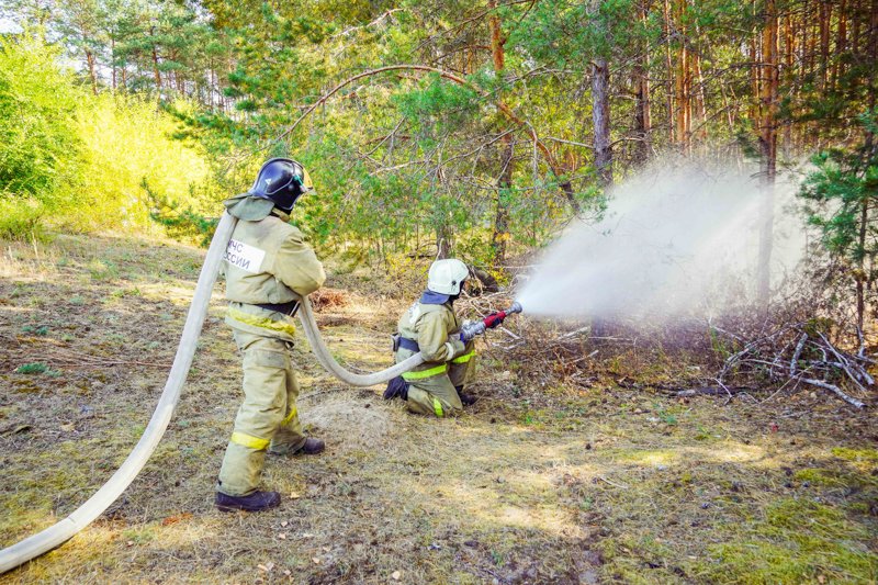 Пятый класс пожарной опасности установили в 6 районах Воронежской области