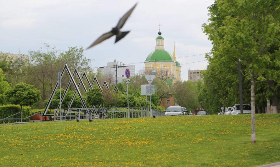 Потепление до +15 градусов и сильный ветер ожидаются 10 мая в Воронежской области