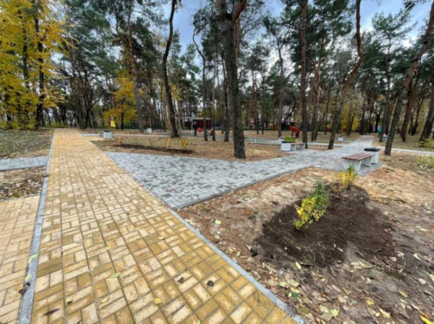Более 300 деревьев планируют посадить в Центральном парке Воронежа