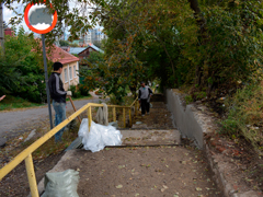 В Центральном районе Воронежа реализуют общественно-полезные проекты