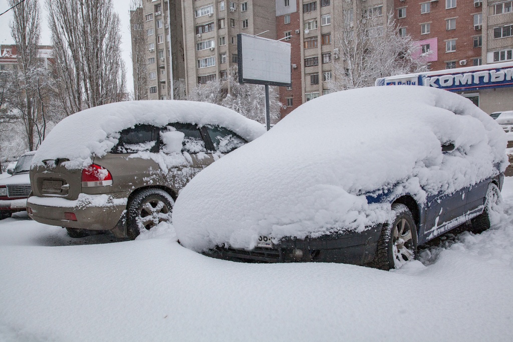 Воронежские власти поведали, куда будут посылать брошенные автомобили