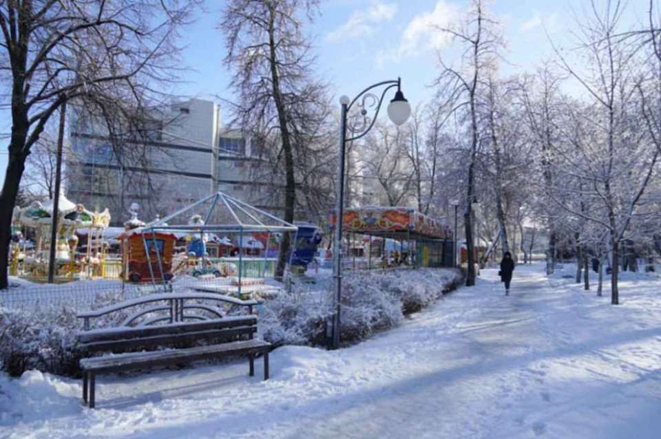 Мороз до -19 градусов ожидается 13 января в Воронежской области