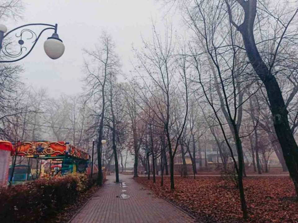 Пасмурная и дождливая погода установится на короткой рабочей неделе в Воронежской области