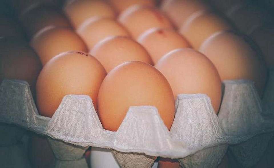 Воронежцы нашли самые дорогие яйца в городе