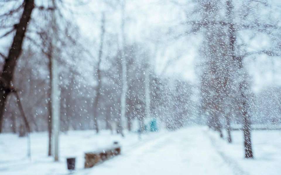 Снегопад и мороз до -9 градусов ожидаются 12 декабря в Воронежской области