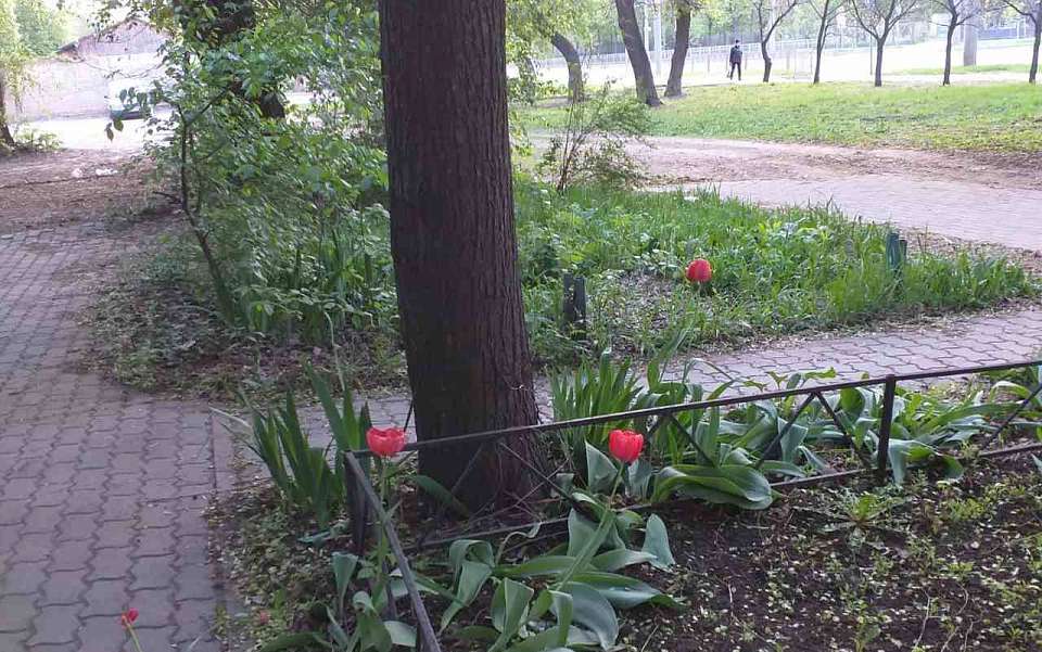 Жаркая погода ожидается в пятницу, 26 апреля, в Воронежской области