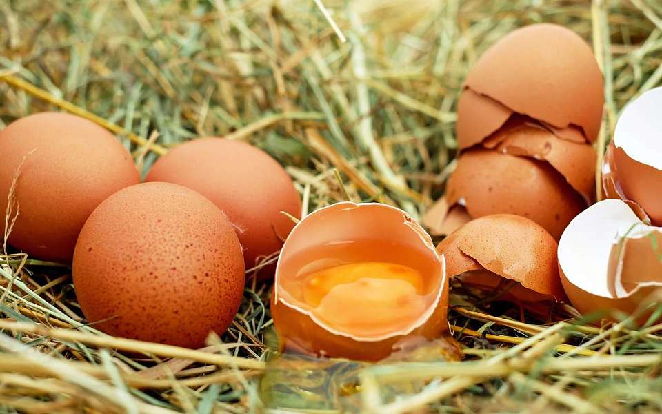 Цены на яйца и огурцы снова взлетели в Воронежской области