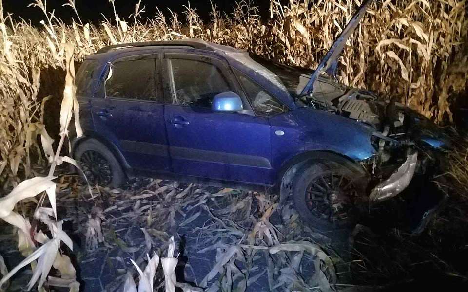 Семья из Ивановской области на Suzuki SX4 разбилась на воронежской трассе
