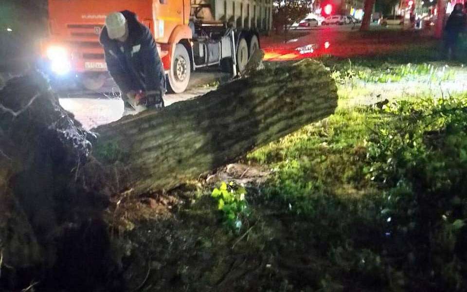 Более 120 деревьев и крупных веток повалил ураган в Воронеже