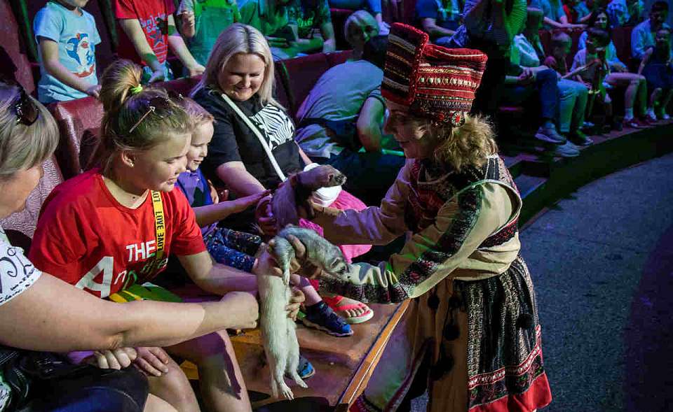 Воронежские первоклашки в честь Дня знаний смогут бесплатно посетить цирк