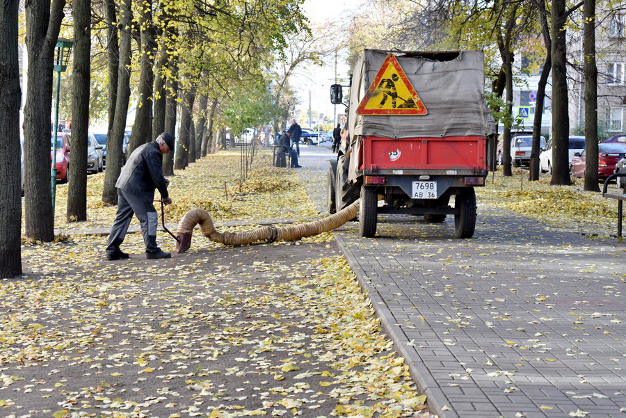 В Ленинском районе Воронежа убирают листья