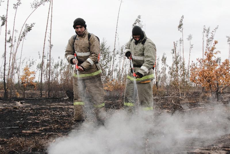 Ситуацию с лесными пожарами в Воронежской области удалось переломить к лучшему