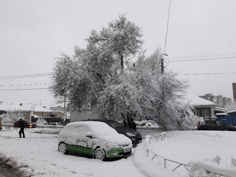 Морозец и снежную метель прогнозируют в Воронеже в выходные