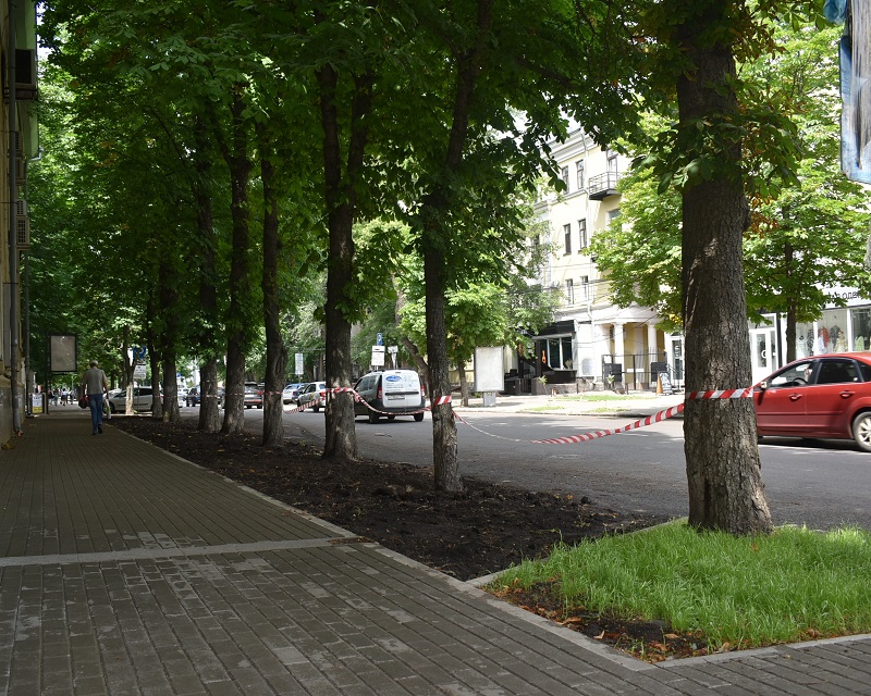 В Центральном районе увеличивают площади газонов при обустройстве тротуаров
