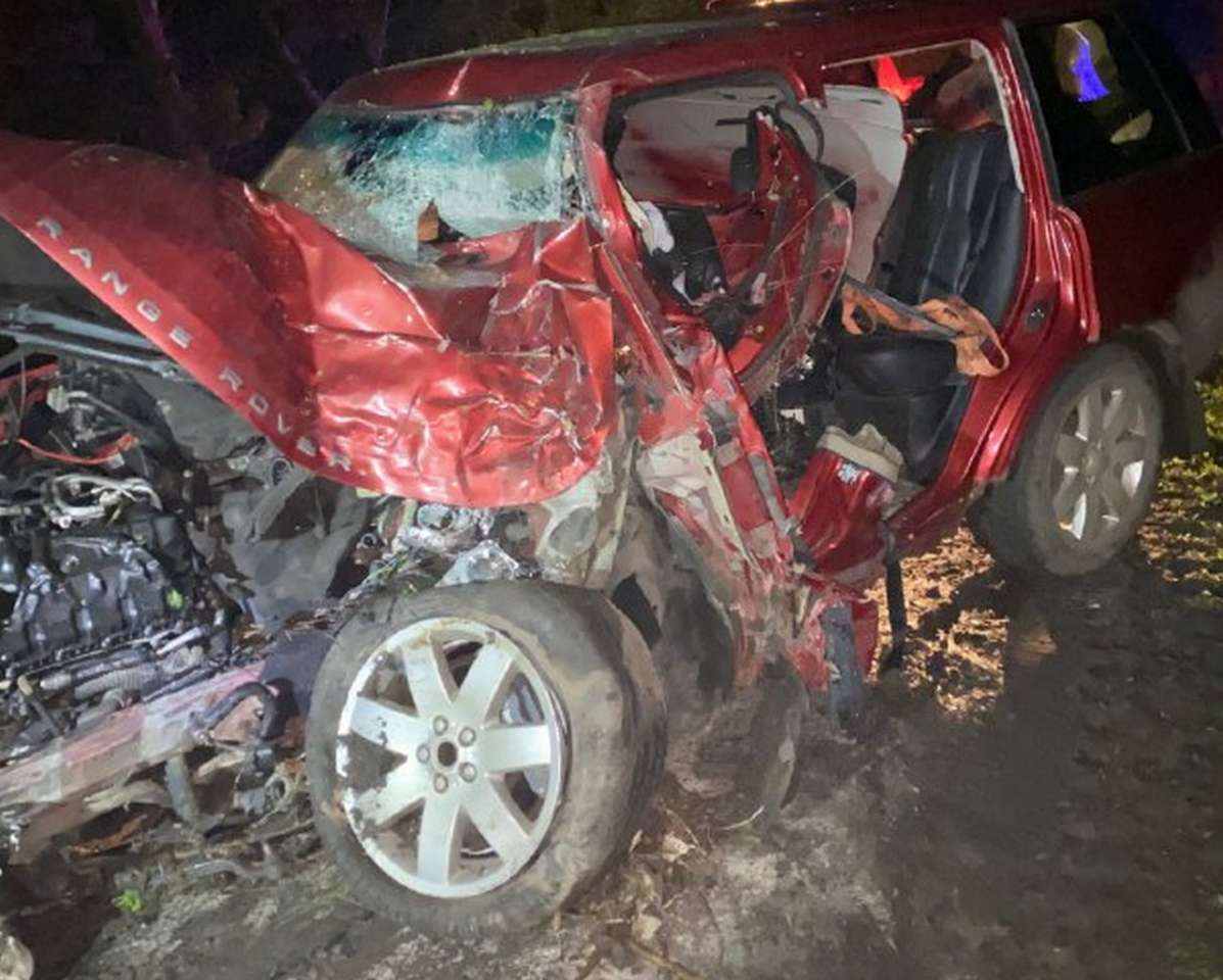 Иномарка разбилась в хлам, когда в дерево на ней врезался 43-летний житель Воронежской области