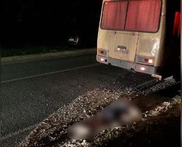 Автобус задавил упавшего под колёса мужчину в Воронежской области