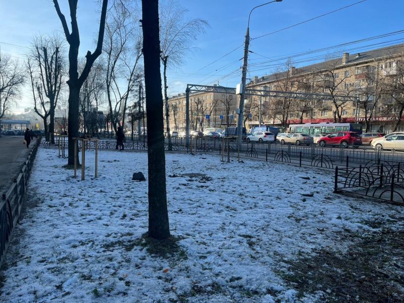 На Московском проспекте в Воронеже провели компенсационную посадку 16 деревьев