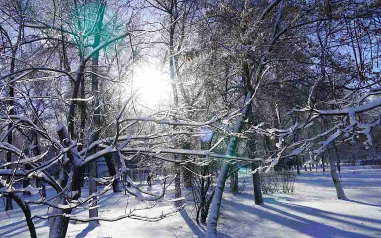 Погода в воронеже февраль 2024 года. Мороз в Воронеже. Осадки тёплой зимой. Сквер Петра 1 в Воронеже зимой 2021. Резкое похолодание в июле фото.