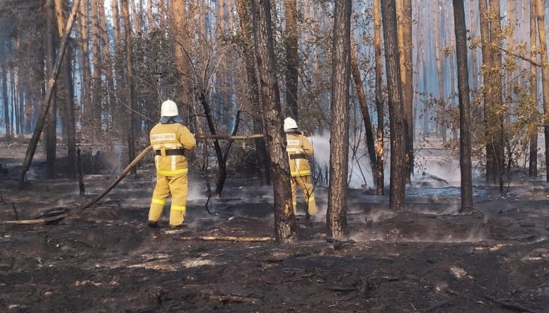 Очередной ландшафтный пожар возник в Воронежской области