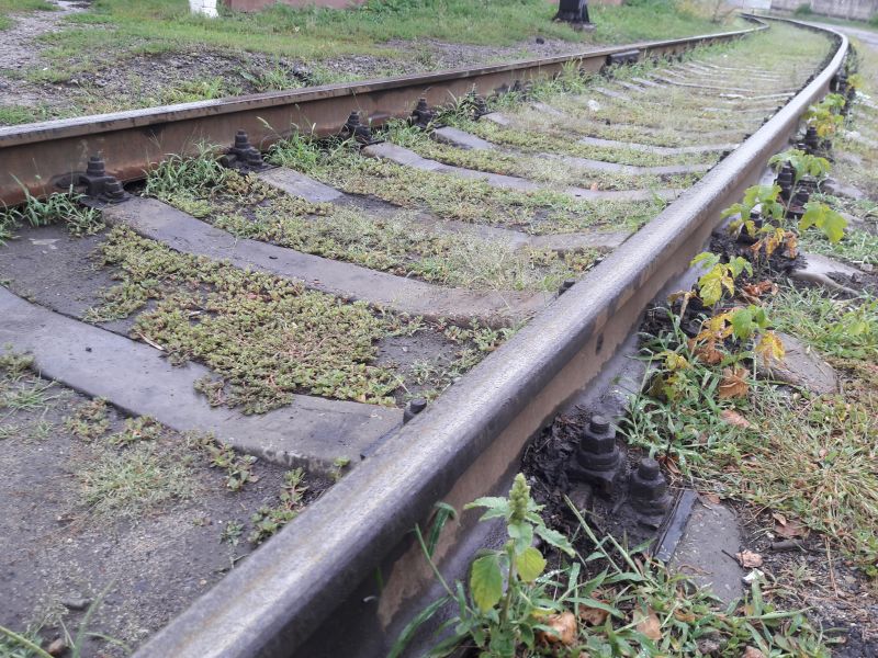В Воронежской области 9-классница погибла под колёсами грузового поезда
