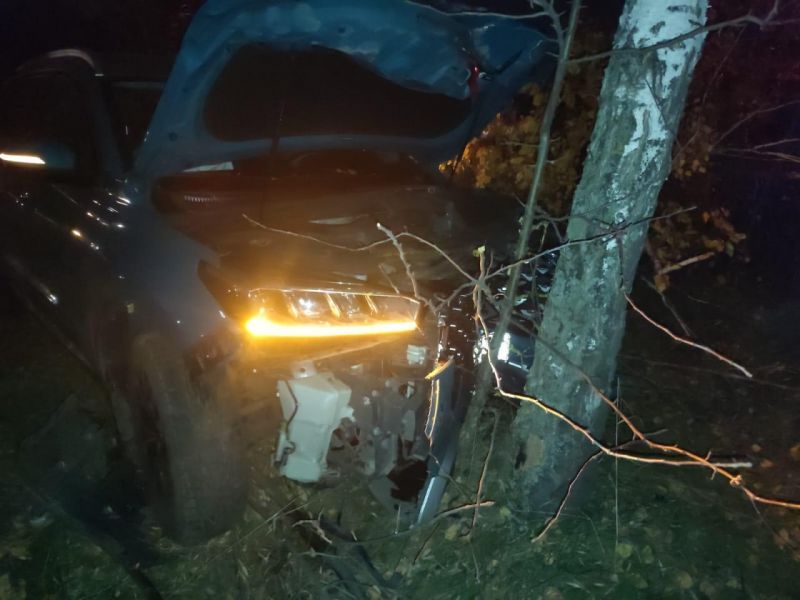 После столкновения с прицепом под Воронежем «Чери» врезался в дерево, есть пострадавшие