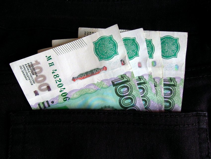В Воронежской области предлагаемая зарплата в среднем выросла на 3,5 тыс. рублей