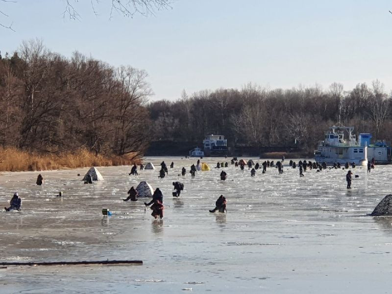 Массовая рыбалка началась в Воронежской области из-за морозов