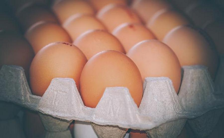 Потенциально опасные куриные яйца обнаружили в воронежских школах