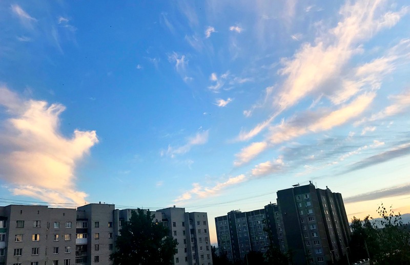 Похолодание до +20 ожидается в Воронеже на рабочей неделе
