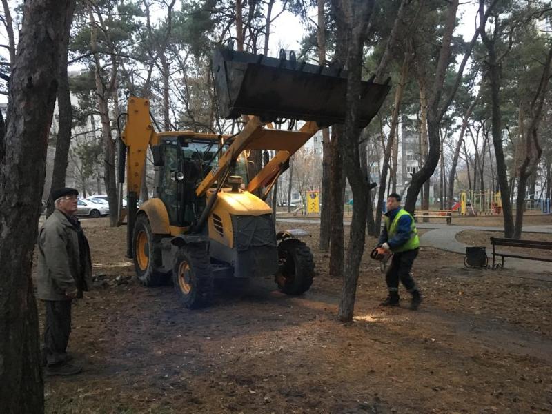 В сквере «Спортивный» Железнодорожного района Воронежа вырубают аварийные деревья
