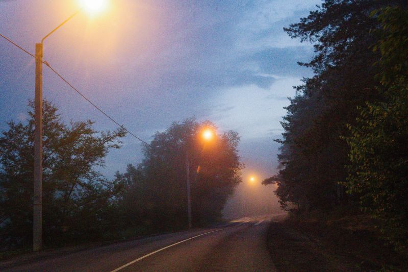  Желтый уровень опасности из-за сильного тумана объявили в Воронежской области