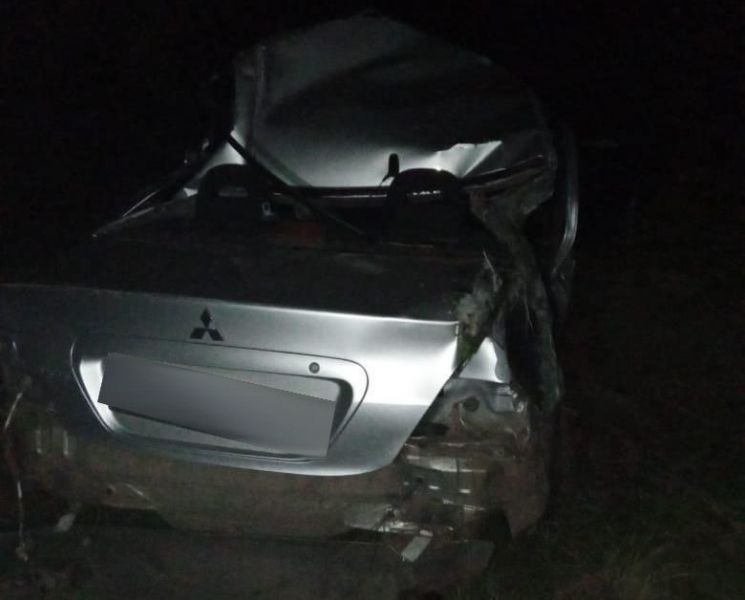 В опрокинувшемся в Воронежской области автомобиле пострадали 19-ти и 21-летний парни