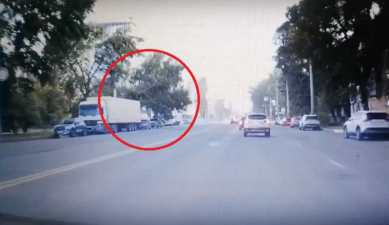 На видео попал момент падения дерева на машины в Воронеже