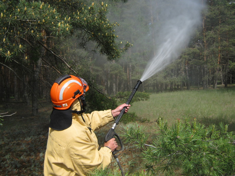 Воронежские лесные пожарные спасли от огня село Верхний Икорец