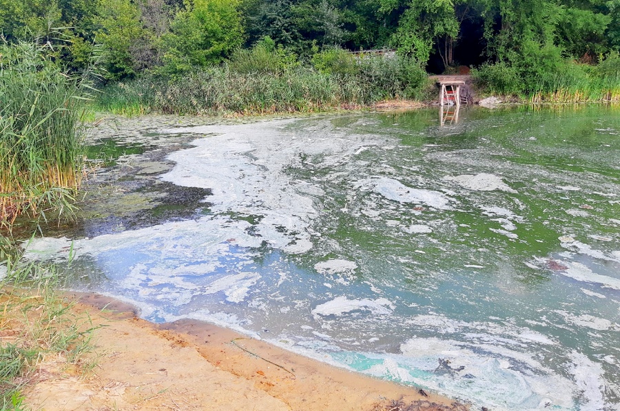 Воронежцы сообщили о возможном загрязнении реки Богучарка
