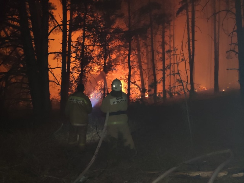 Из-за лесного пожара эвакуировали жителей воронежского хутора Подлесный (ВИДЕО)