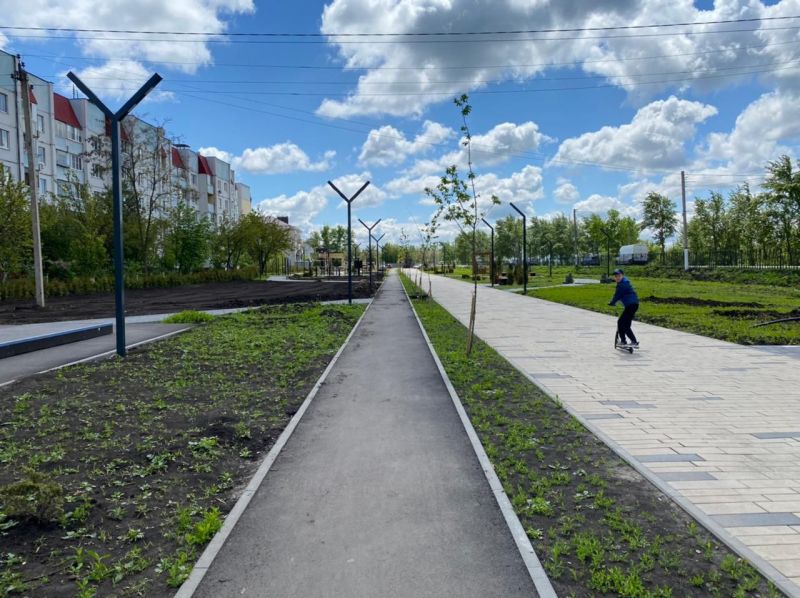 Губернатор Александр Гусев рассказал о строительстве велодорожек в Воронеже и области