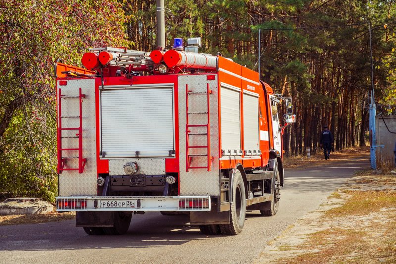 Особый противопожарный режим отменили в Воронежской области