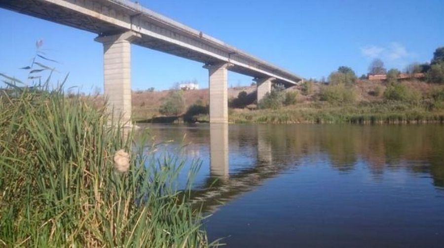 Под Воронежем отремонтируют мост через Дон за 830 млн
