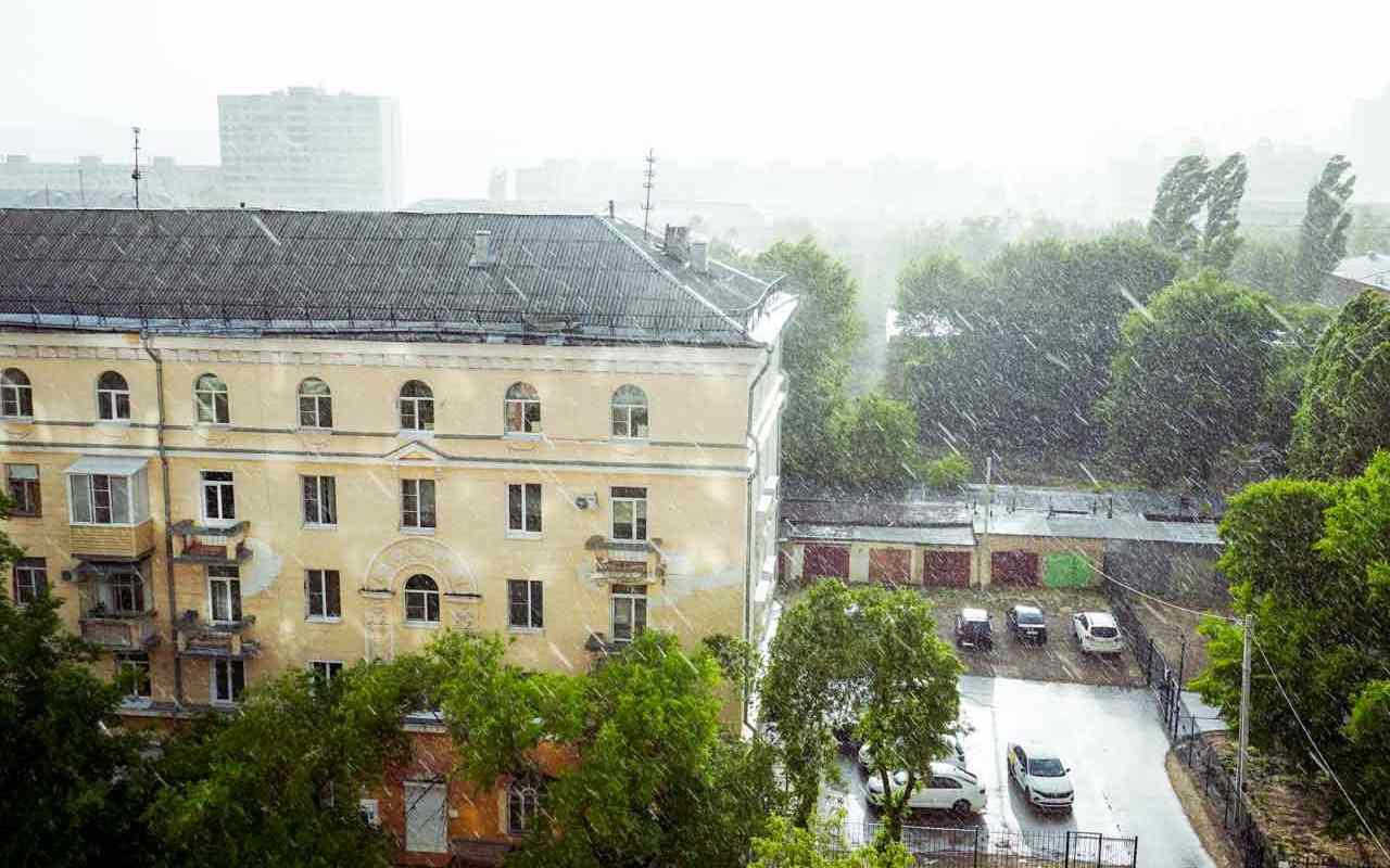 Похолодание до +10 градусов и ливни ожидаются в Воронежской области
