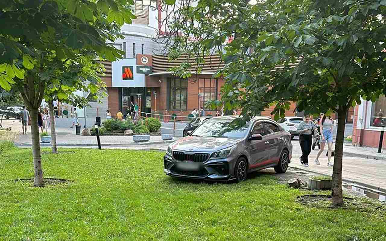 В центре Воронежа наглый водитель припарковался на газоне