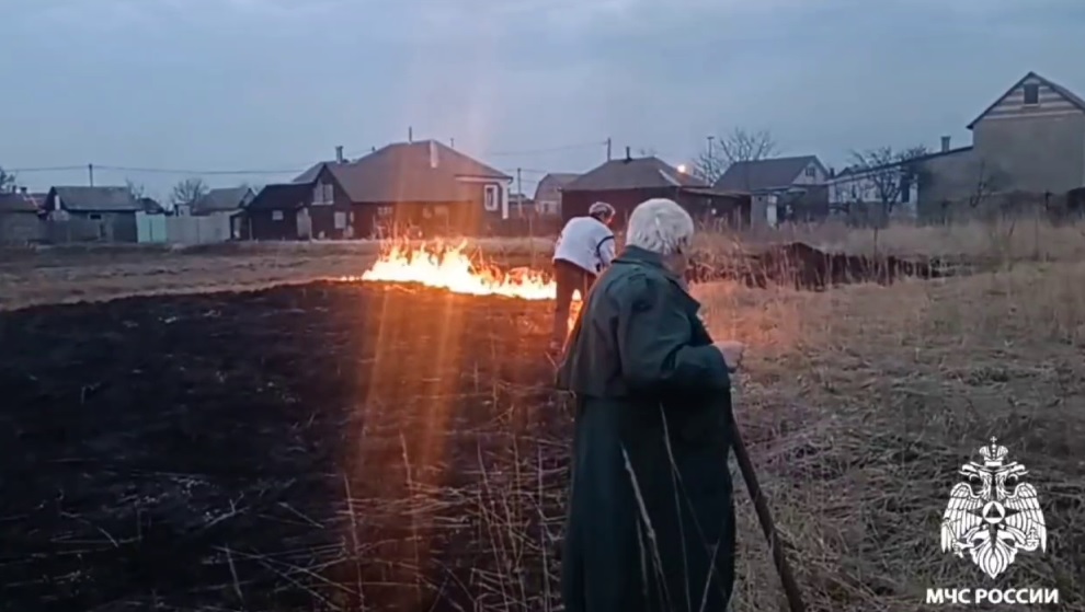 Более 150 ландшафтных пожаров произошло за 2 дня особого противопожарного режима в Воронежской области