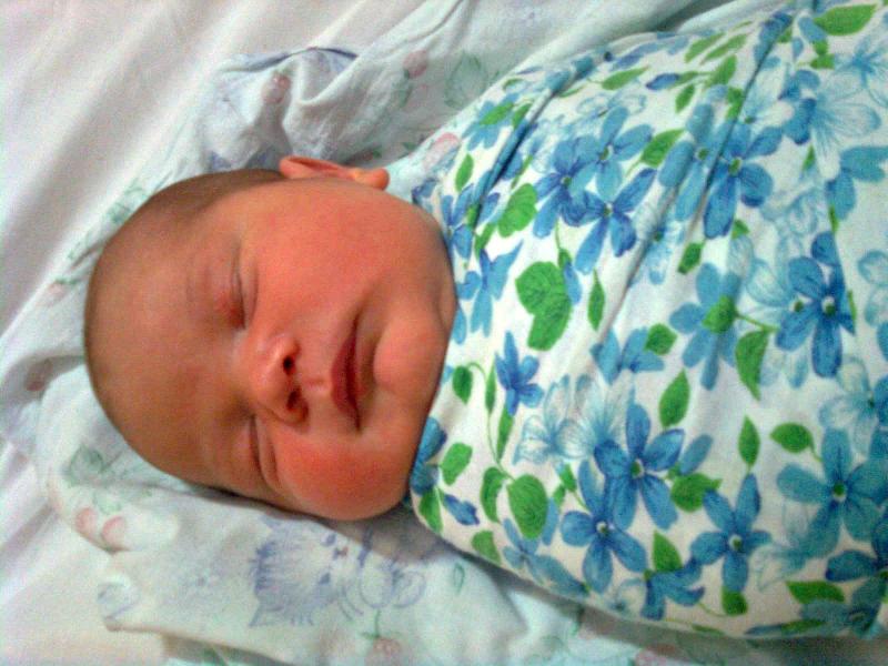 В Воронежской области новорождённый впервые зарегистрирован без посещения родителями ЗАГСа