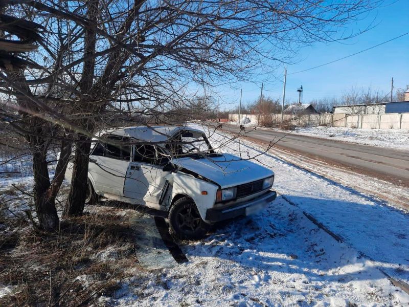 На трассе под Воронежем автомобилистка врезалась в дерево