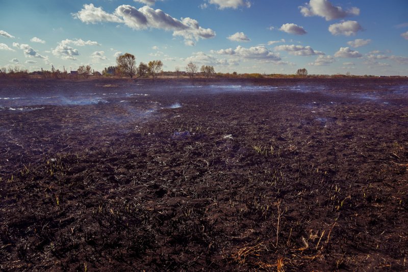 Из-за изменений климата в Воронежской области пересмотрят рамки пожароопасного сезона