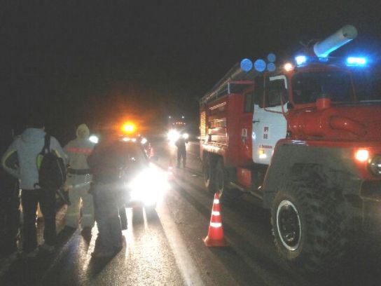 Под Воронежем водитель иномарки из Пензы погиб после лобового столкновения с фурой