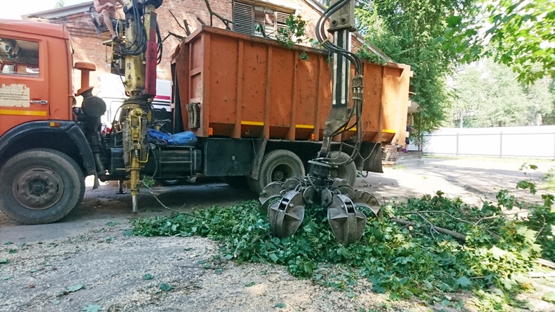 В Коминтерновском районе Воронежа вырубили еще 440 сухостойных деревьев