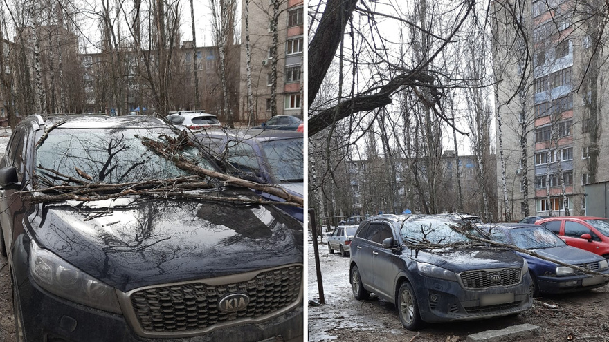 Воронежцев предупреждают о сильном ветре 8 Марта