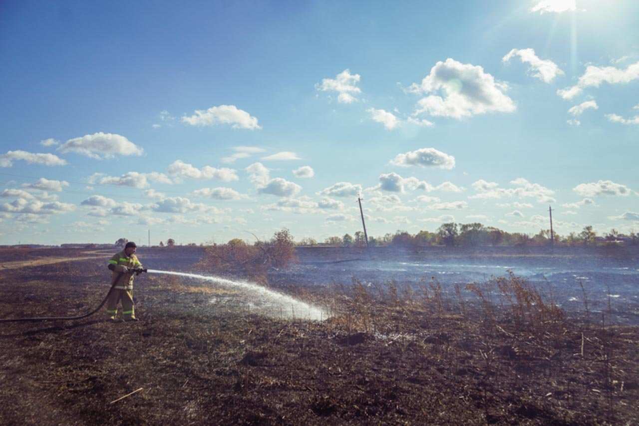 Первые ландшафтные пожары произошли 27 февраля в Воронежской области