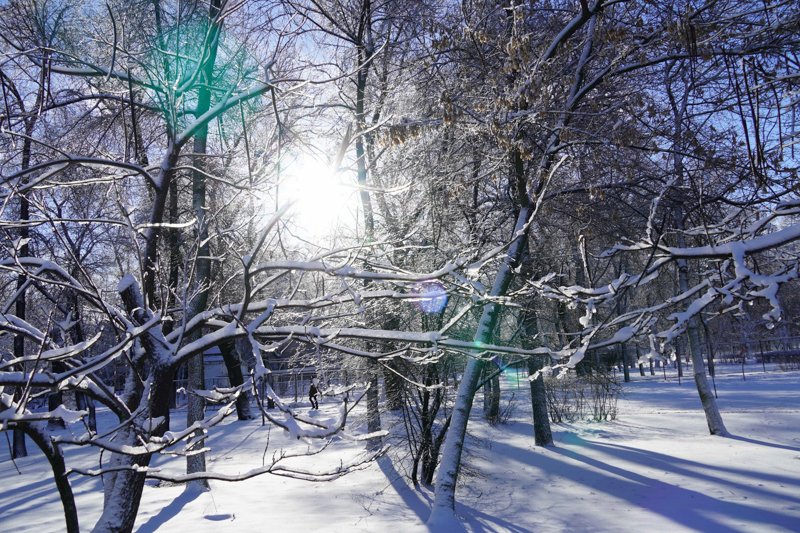 Резкое похолодание ожидается в Воронежской области перед Рождеством